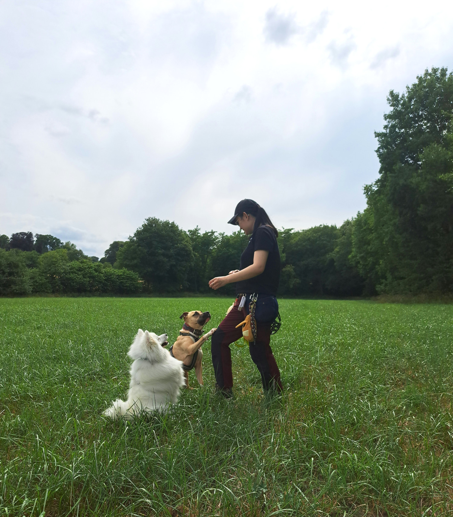l'éducatrice canine Caroline avec ses chiens Shiro et Arkan