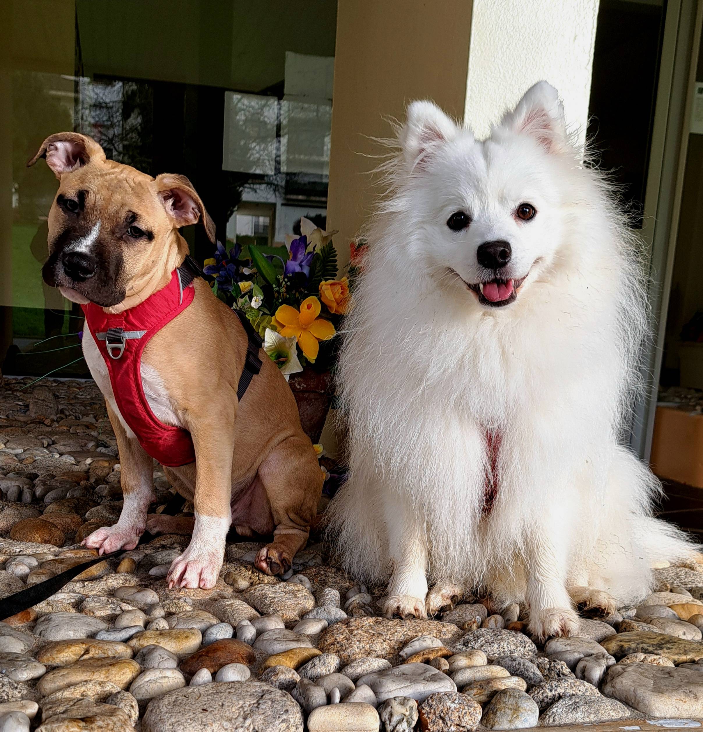 shiro et arkan assis ensemble